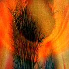 Suffolk Sunset Abstract Print Detail 2