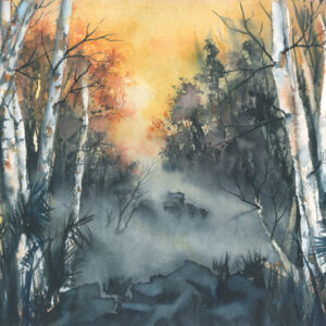 Birch Trees in the Mist
