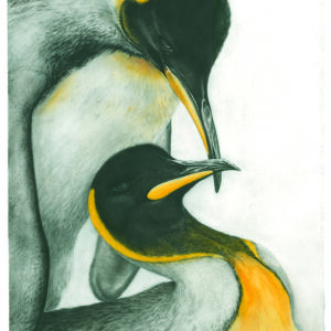Photo of Drawing Entitled Penguin Love