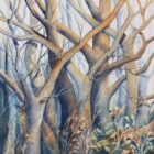 Product photo of the Tangled Trees painting by Caryn Noad. Available for sale on this page for £135